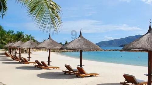 精灵的冒险之旅